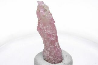 Pink Tourmaline (Rubellite) Crystal - Brazil #221618