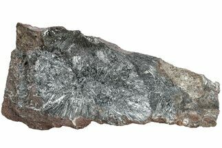 Metallic, Needle-Like Pyrolusite Crystals - Morocco #220643