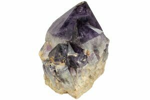 11.7 Deep Purple Amethyst Crystal Cluster With Huge Crystals