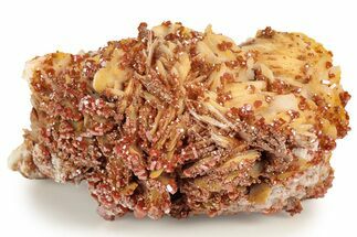Sparkling, Ruby Red Vanadinite Crystals on Barite - Morocco #223660