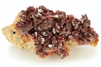 Dark Red Vanadinite Crystals on Barite - Morocco #223669