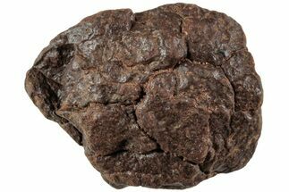 Chondrite Meteorite ( grams) - Western Sahara Desert #224513