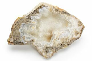 Agatized Fossil Coral Geode - Florida #225129