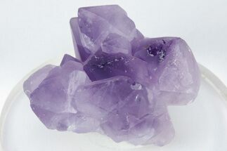 Deep Purple, Amethyst Crystal Cluster - Madagascar #225466