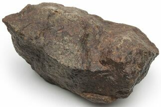 Chondrite Meteorite ( grams) - Western Sahara Desert #226975
