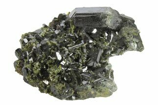 Lustrous, Epidote Crystal Cluster on Actinolite - Pakistan #213453