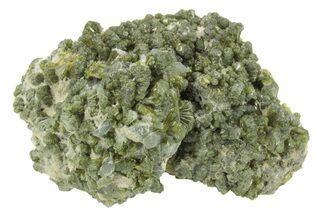 Lustrous Epidote Crystal Cluster - Morocco #224818