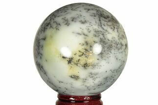 Polished Dendritic Agate Sphere - Madagascar #218902