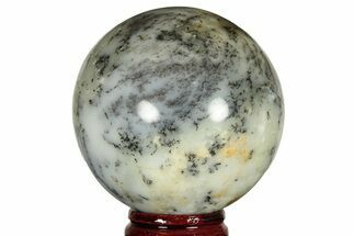 Polished Dendritic Agate Sphere - Madagascar #218912
