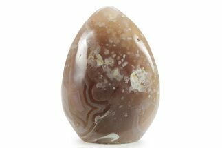 Free-Standing, Polished Flower Agate - Madagascar #205443