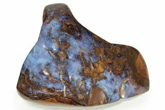 Electric Blue Boulder Opal - Queensland, Australia #227085