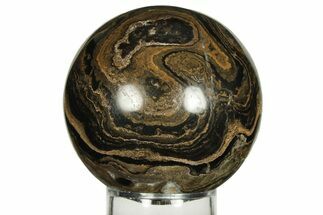 Polished Stromatolite (Greysonia) Sphere - Bolivia #227073