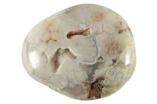 Polished Flower Agate Palm Stone - Madagascar #227015