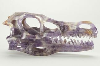 Carved Amethyst Dinosaur Crystal Skull - Ferocious! #227049