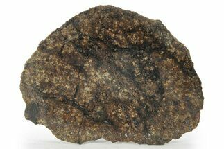 Chondrite Meteorite ( grams) Slice with Shock Veins - Morocco #227978