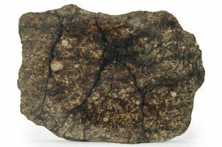 Chondrite Meteorite ( grams) Slice with Shock Veins - Morocco #227981