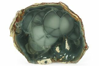 Polished Slab of Blue Mountain Jasper - Oregon #228096