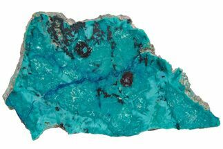 Colorful Chrysocolla and Shattuckite Slab - Mexico #227891