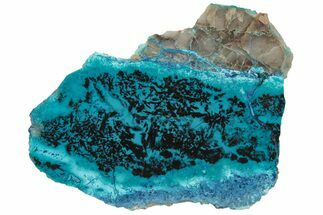Colorful Chrysocolla and Shattuckite Slab - Mexico #227898