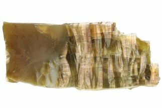Chatoyant, Polished Pietersite Slab - Arizona #227848