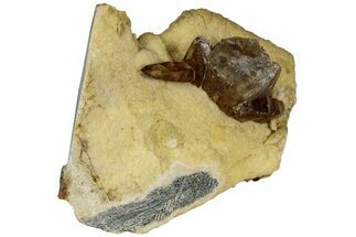 Honey Colored Barite Crystals On Fluorescent Calcite - Elk Creek #227767