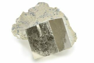 Natural Pyrite Cube In Rock - Navajun, Spain #227641