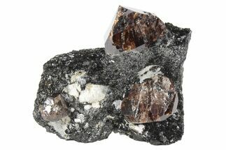 Fluorescent Zircon Crystals in Biotite Schist - Norway #228207