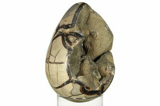 Septarian Dragon Egg Geode #227503