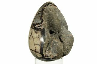 Septarian Dragon Egg Geode #227504