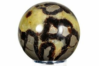 Polished Septarian Sphere - Madagascar #230388