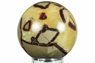 Polished Septarian Sphere - Madagascar #230394