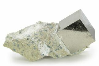 Pristine, Natural Pyrite Cube In Rock - Navajun, Spain #227634