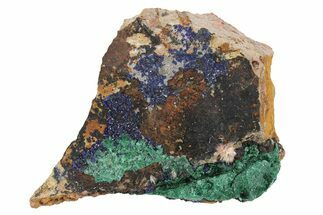 Azurite and Malachite Association on Matrix - Morocco #217798