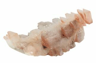 Pagoda Style Calcite Crystals on Calcite - Fluorescent! #215941