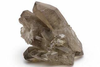 Natural Smoky Quartz Crystal Cluster - Brazil #231286