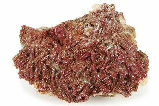Ruby Red Vanadinite Crystals on White Barite - Morocco #231843