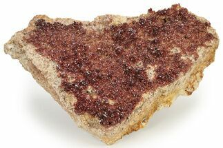 Plate of Ruby Red Vanadinite Crystals - Morocco #231845