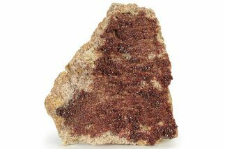 Plate of Ruby Red Vanadinite Crystals - Morocco #231845