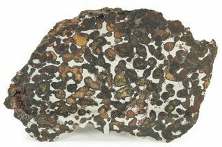 Polished Sericho Pallasite Meteorite (g) - Kenya #232273