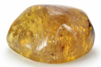 Polished Chiapas Amber ( grams) - Mexico #232562