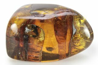 Polished Chiapas Amber ( grams) - Mexico #232565