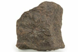Chondrite Meteorite ( grams) - Western Sahara Desert #232928