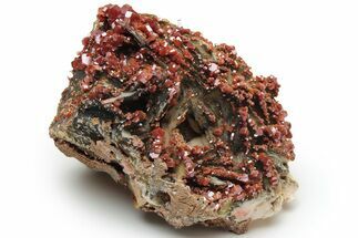 Deep Red Vanadinite Crystals on Barite - Morocco #233084