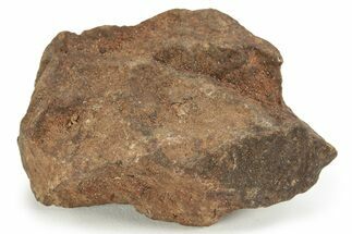 Chondrite Meteorite ( grams) - Western Sahara Desert #232942