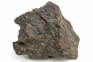 Chondrite Meteorite ( grams) - Western Sahara Desert #232948