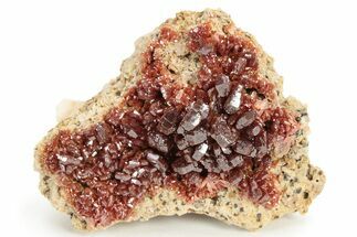 Glittering, Ruby Red Vanadinite Crystals on Barite - Morocco #233965