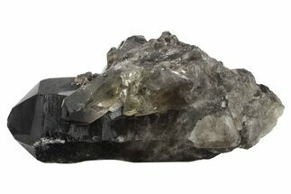 Dark Smoky Quartz Crystal - Minas Gerais, Brazil #234075