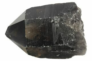 Dark Smoky Quartz Crystal - Brazil #234061