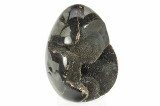 Septarian Dragon Egg Geode #234004