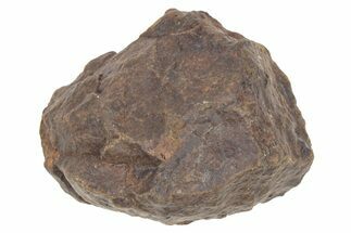 Chondrite Meteorite ( grams) - Western Sahara Desert #233165